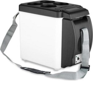 ΨΥΓΕΙΑΚΙ 6 ΛΙΤΡΑ 12V ΚΡΥΟ ΚΑΙ ΖΕΣΤΗ-14239