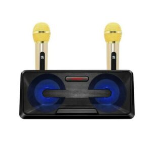 Φορητό σύστημα Bluetooth USB SD Karaoke 20watt Με 2 Μικρόφωνα Mp3 Player SDRD  SD-301