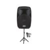 Audien Αυτοενισχυόμενο Ηχείο PA SM-3315A20 120W με Woofer 15"