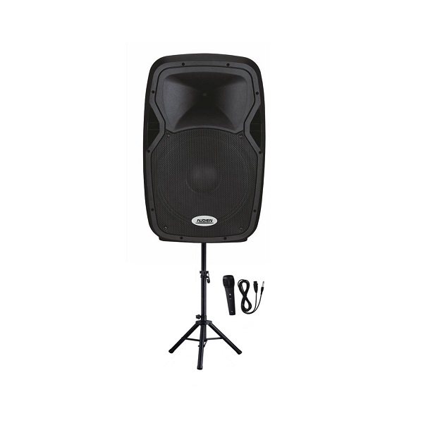 Audien Αυτοενισχυόμενο Ηχείο PA SM-3315A20 120W με Woofer 15"