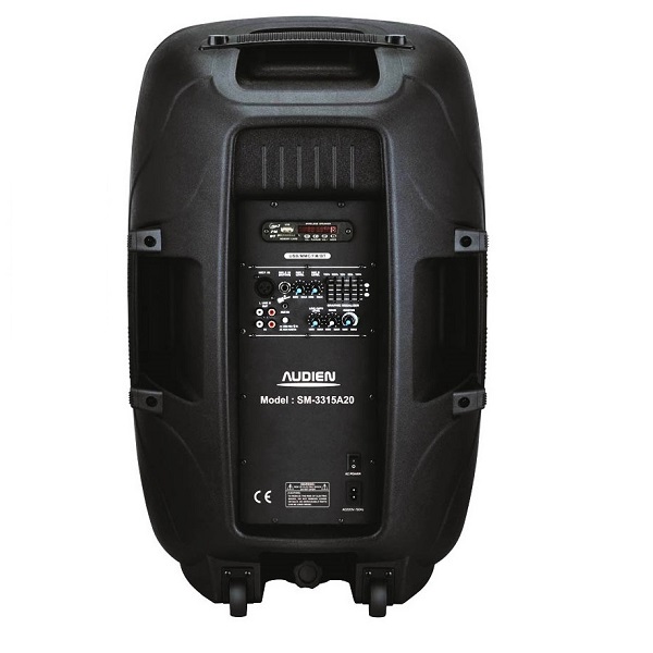 Audien Αυτοενισχυόμενο Ηχείο PA SM-3315A20 120W με Woofer 15"