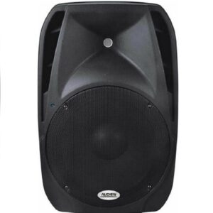 Audien Παθητικό Ηχείο PA SM-10115 200W με Woofer 15" 48.6x39.8x73.5εκ.