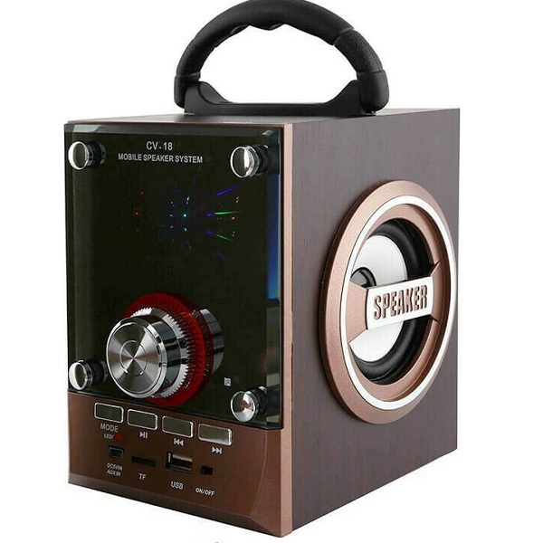 Ηχείο με λειτουργία Karaoke CV-18 σε Καφέ Χρώμα