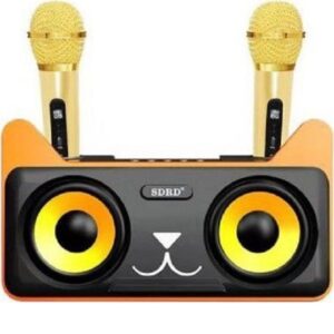 Σύστημα Karaoke με Ασύρματα Μικρόφωνα σε Μαύρο Χρώμα SD305