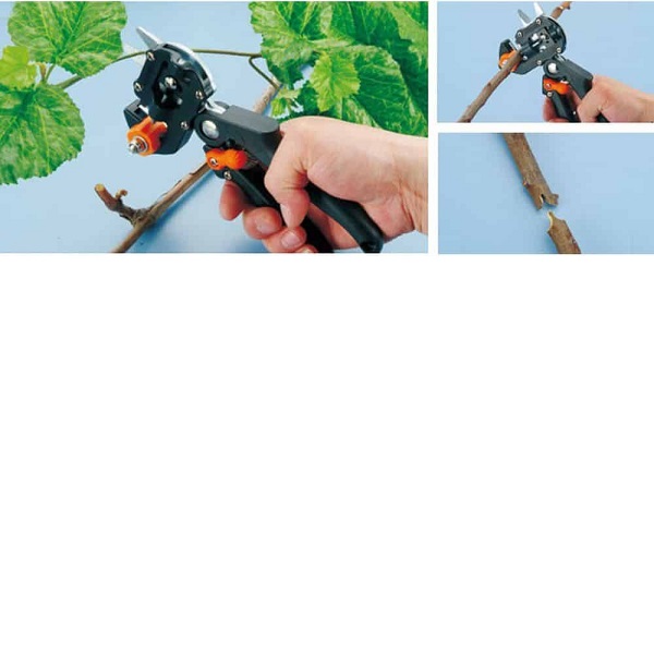 Ψαλίδι Μπολιάσματος 3ων Τύπων Ψαλίδι Εμβολιασμού 05485