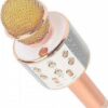 Μικρόφωνο Karaoke Ασύρματο WSTER WS-858