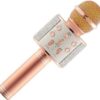 Μικρόφωνο Karaoke Ασύρματο WSTER WS-858