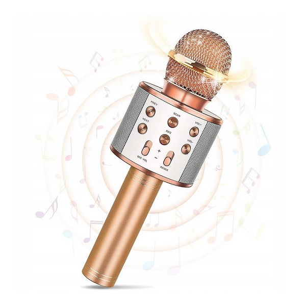 Μικρόφωνο Karaoke Ασύρματο WSTER WS-858