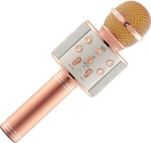 Μικρόφωνο Karaoke Ασύρματο WSTER WS-858