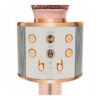 Μικρόφωνο Karaoke Ασύρματο WSTER WS-858