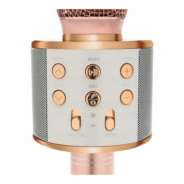 Μικρόφωνο Karaoke Ασύρματο WSTER WS-858