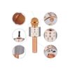 Μικρόφωνο Karaoke Ασύρματο WSTER WS-858