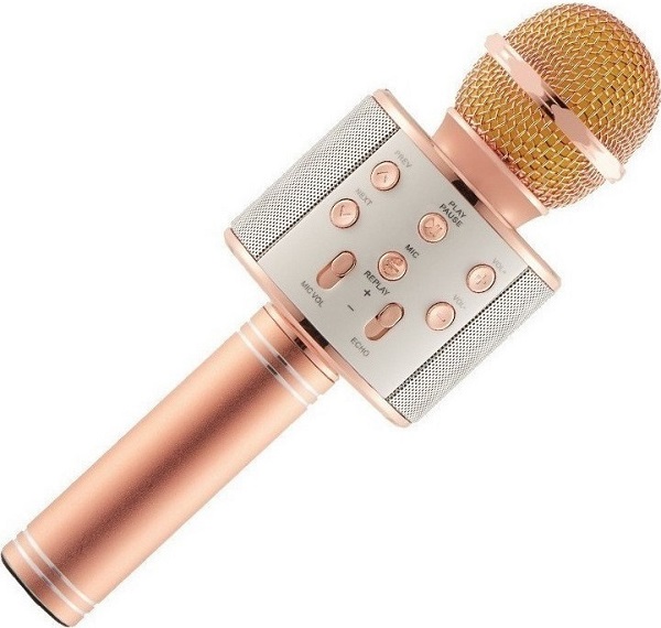 Μικρόφωνο Karaoke Ασύρματο WSTER WS-858